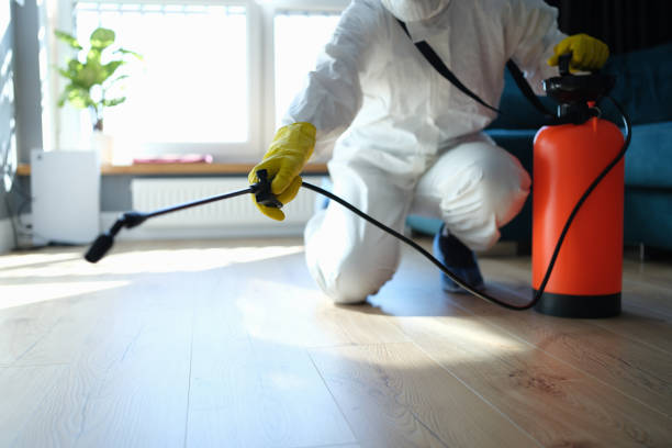 Reliable Infectious Disease Decontamination contractor in Apple Valley, UT by Trauma Clean Pros